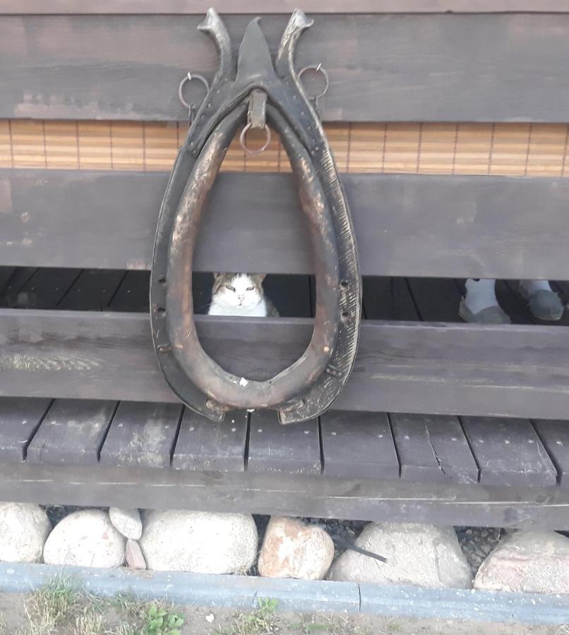Villa Gapkowo Stare Kiejkuty Esterno foto