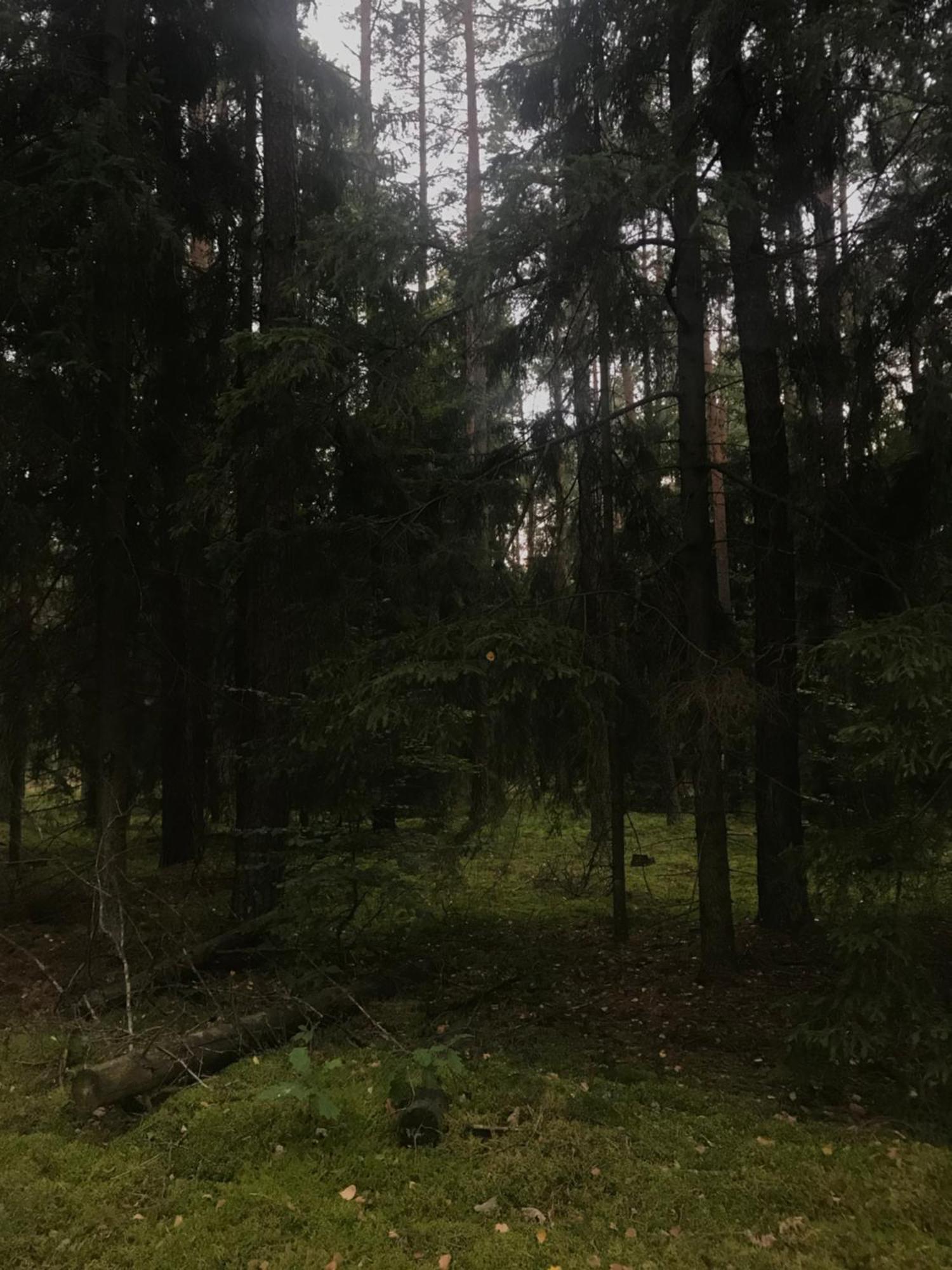 Villa Gapkowo Stare Kiejkuty Esterno foto