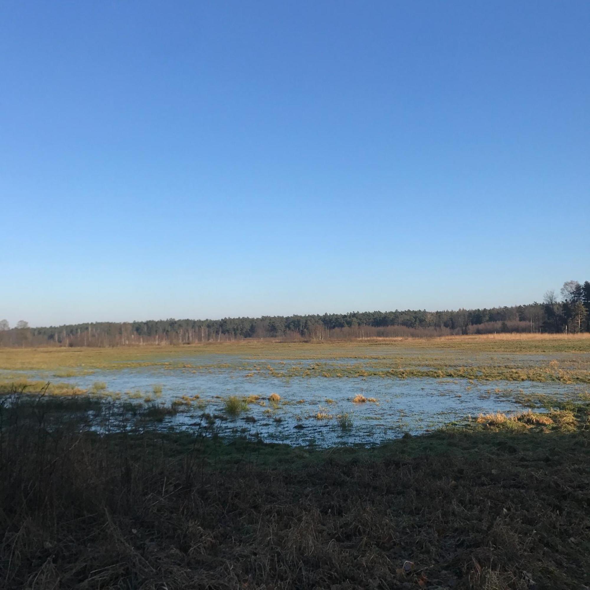 Villa Gapkowo Stare Kiejkuty Esterno foto
