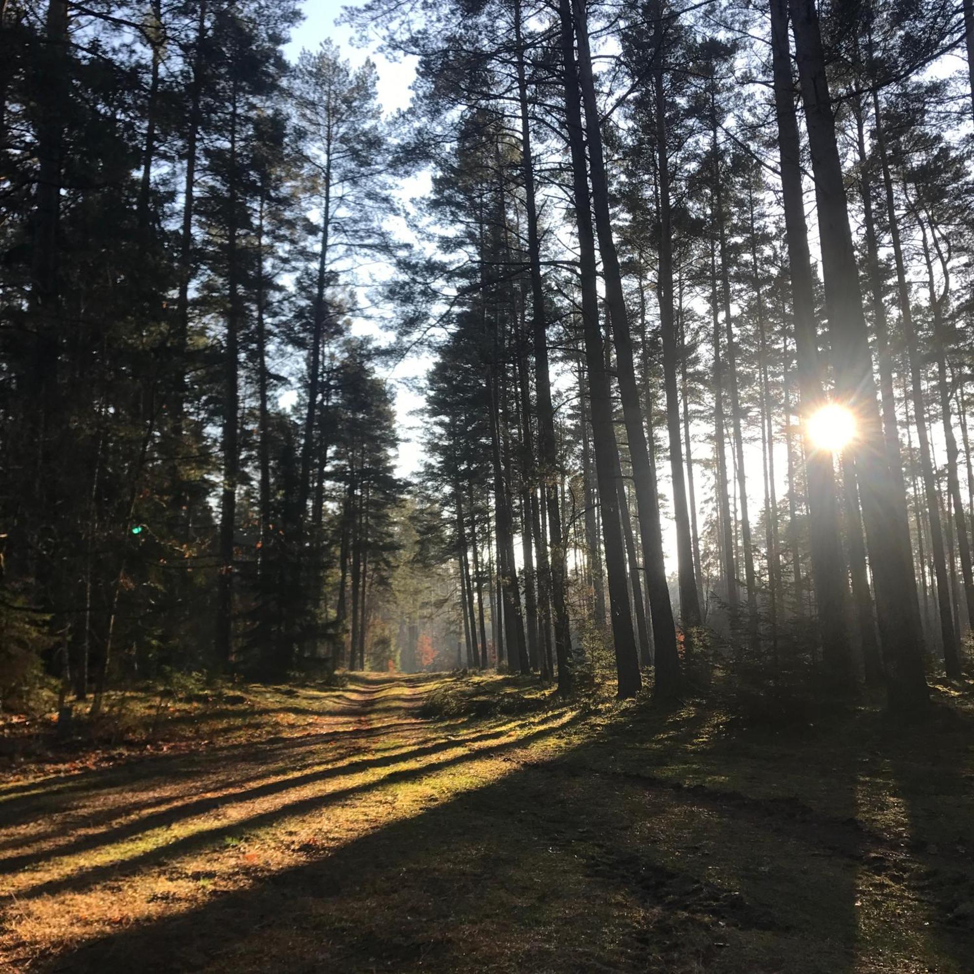 Villa Gapkowo Stare Kiejkuty Esterno foto